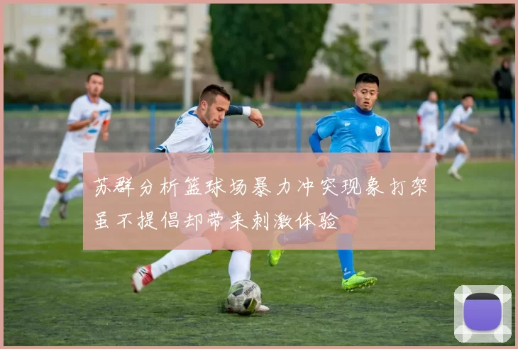 苏群分析篮球场暴力冲突现象打架虽不提倡却带来刺激体验